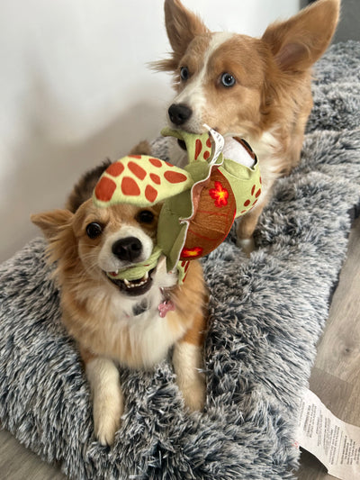 Georgie & Frankie